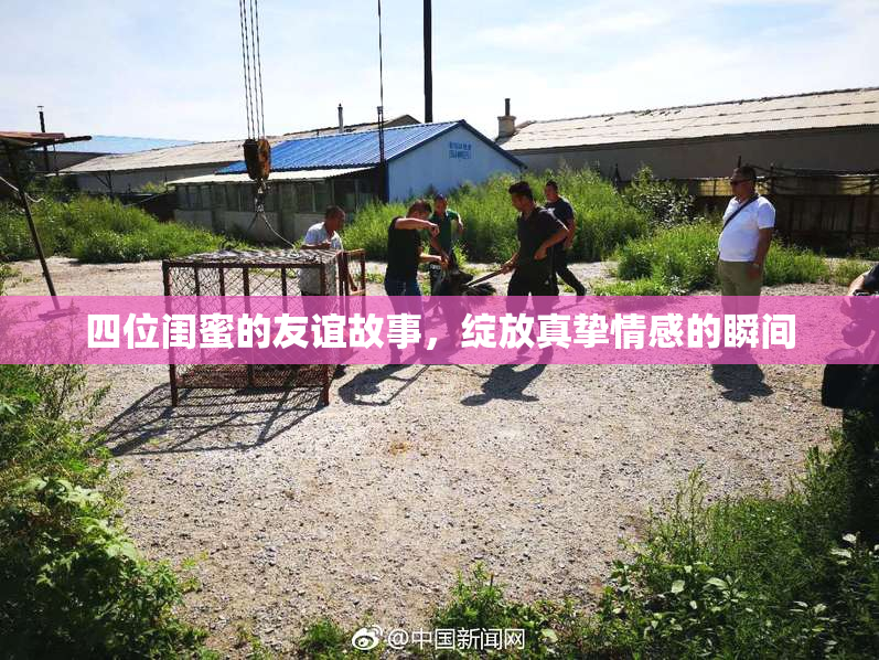 四位闺蜜的友谊故事，绽放真挚情感的瞬间