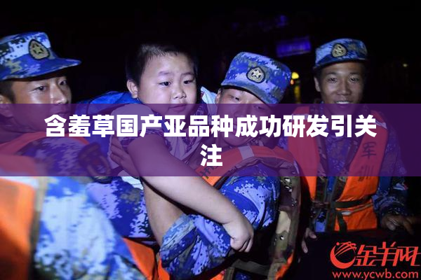 含羞草国产亚品种成功研发引关注