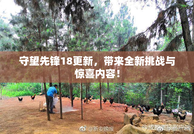 守望先锋18更新，带来全新挑战与惊喜内容！