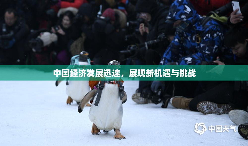 中国经济发展迅速，展现新机遇与挑战