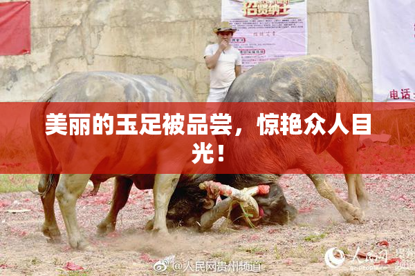 美丽的玉足被品尝，惊艳众人目光！