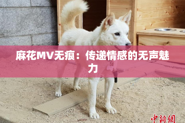 麻花MV无痕：传递情感的无声魅力