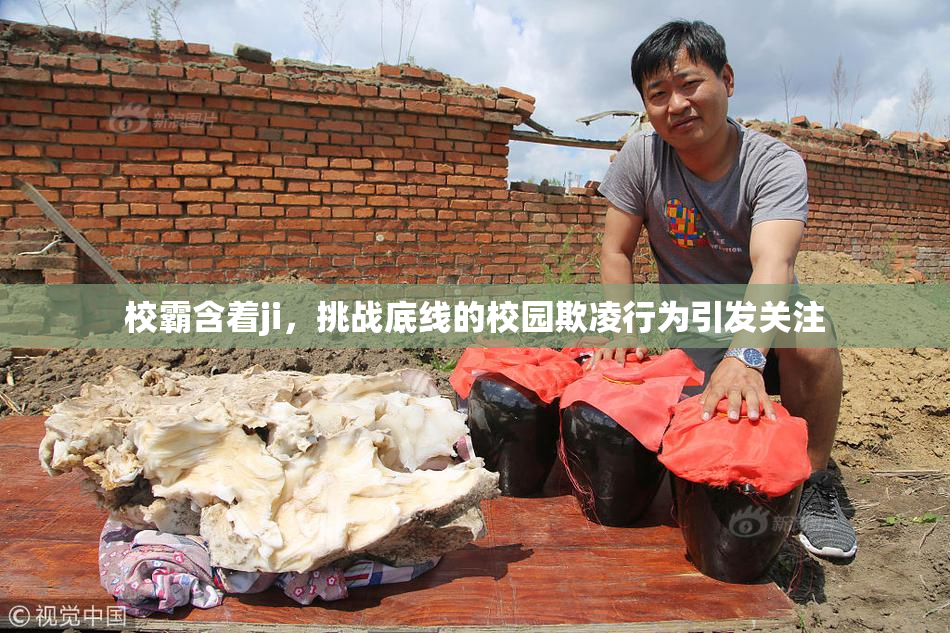 校霸含着ji，挑战底线的校园欺凌行为引发关注