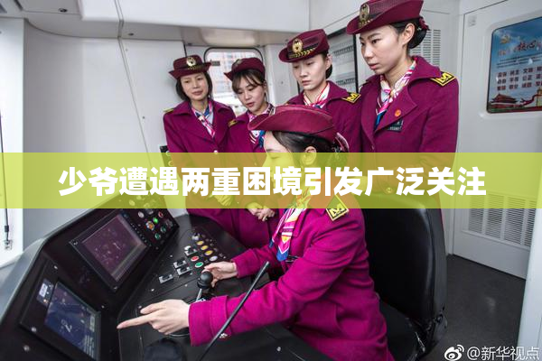 少爷遭遇两重困境引发广泛关注