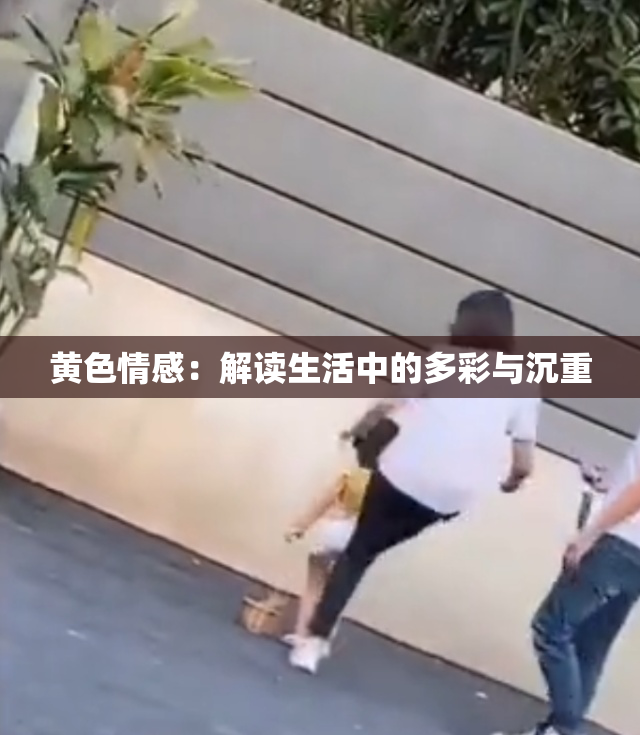 黄色情感：解读生活中的多彩与沉重