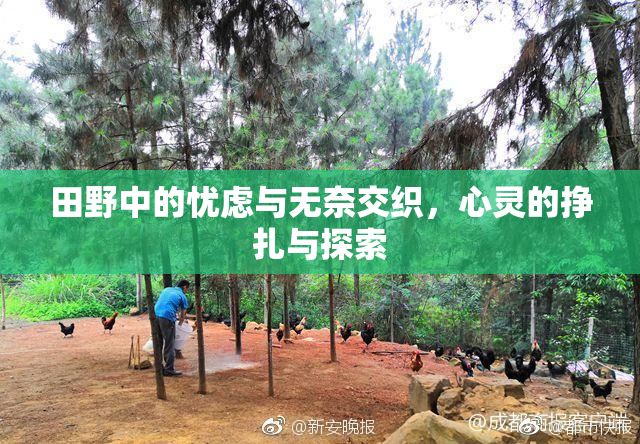 田野中的忧虑与无奈交织，心灵的挣扎与探索