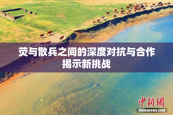 荧与散兵之间的深度对抗与合作揭示新挑战