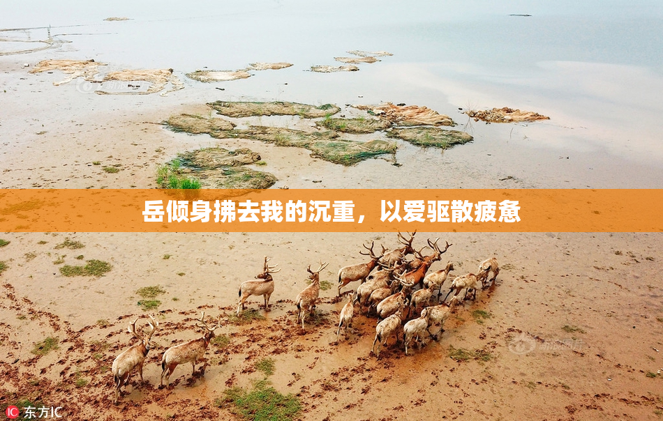 岳倾身拂去我的沉重，以爱驱散疲惫