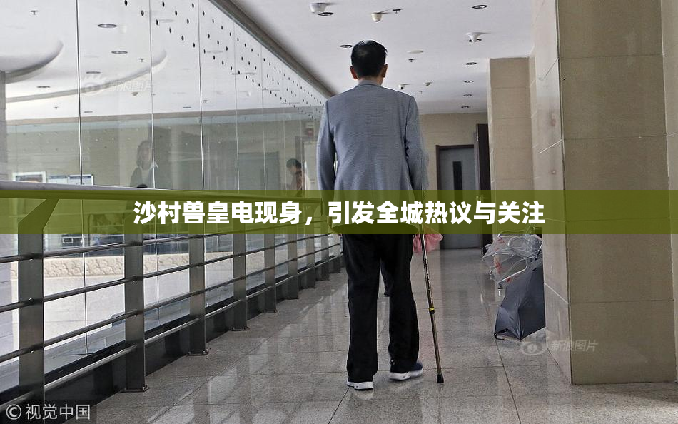 沙村兽皇电现身，引发全城热议与关注