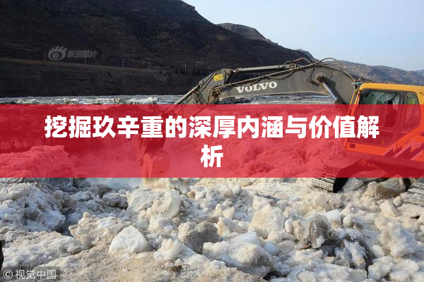 挖掘玖辛重的深厚内涵与价值解析