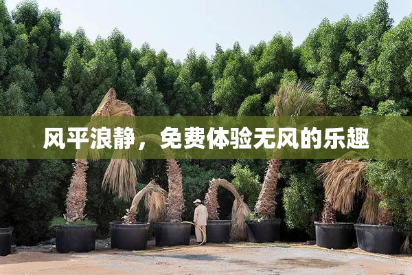 风平浪静，免费体验无风的乐趣