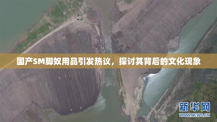 国产SM脚奴用品引发热议，探讨其背后的文化现象