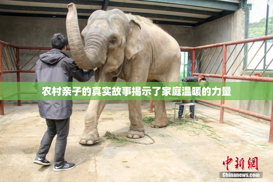 农村亲子的真实故事揭示了家庭温暖的力量