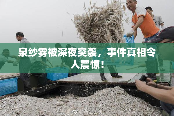泉纱雾被深夜突袭，事件真相令人震惊！