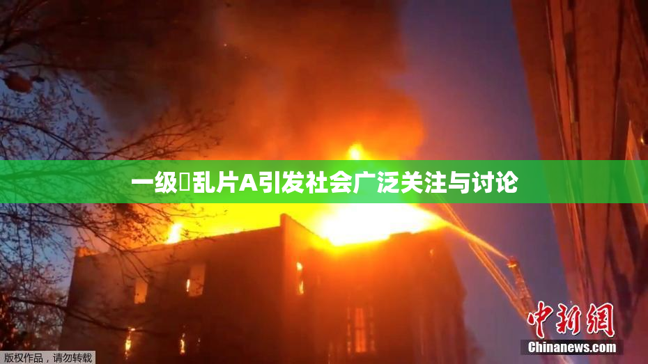 一级婬乱片A引发社会广泛关注与讨论