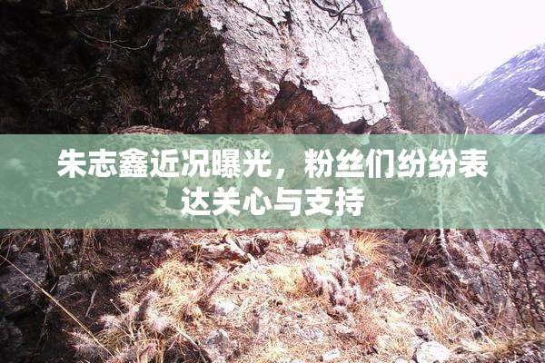 朱志鑫近况曝光，粉丝们纷纷表达关心与支持