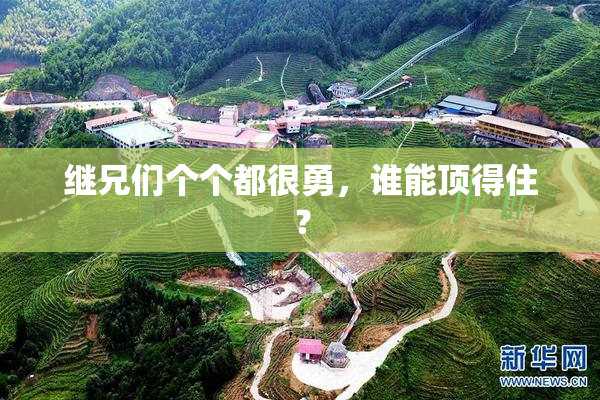 继兄们个个都很勇，谁能顶得住？