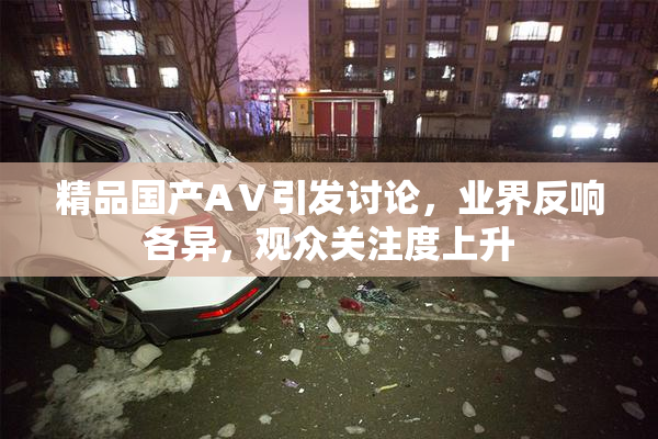 精品国产AⅤ引发讨论，业界反响各异，观众关注度上升