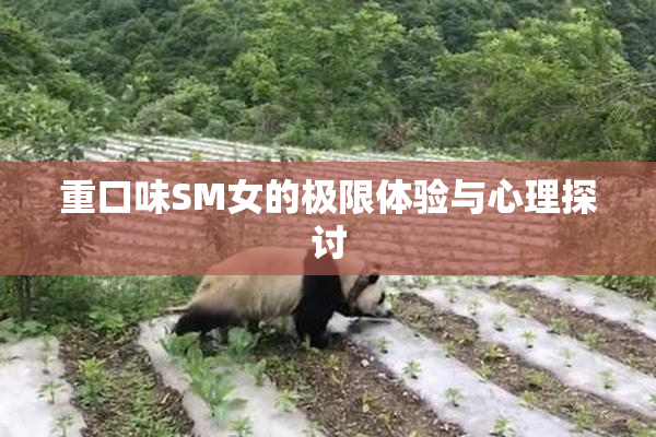 重口味SM女的极限体验与心理探讨