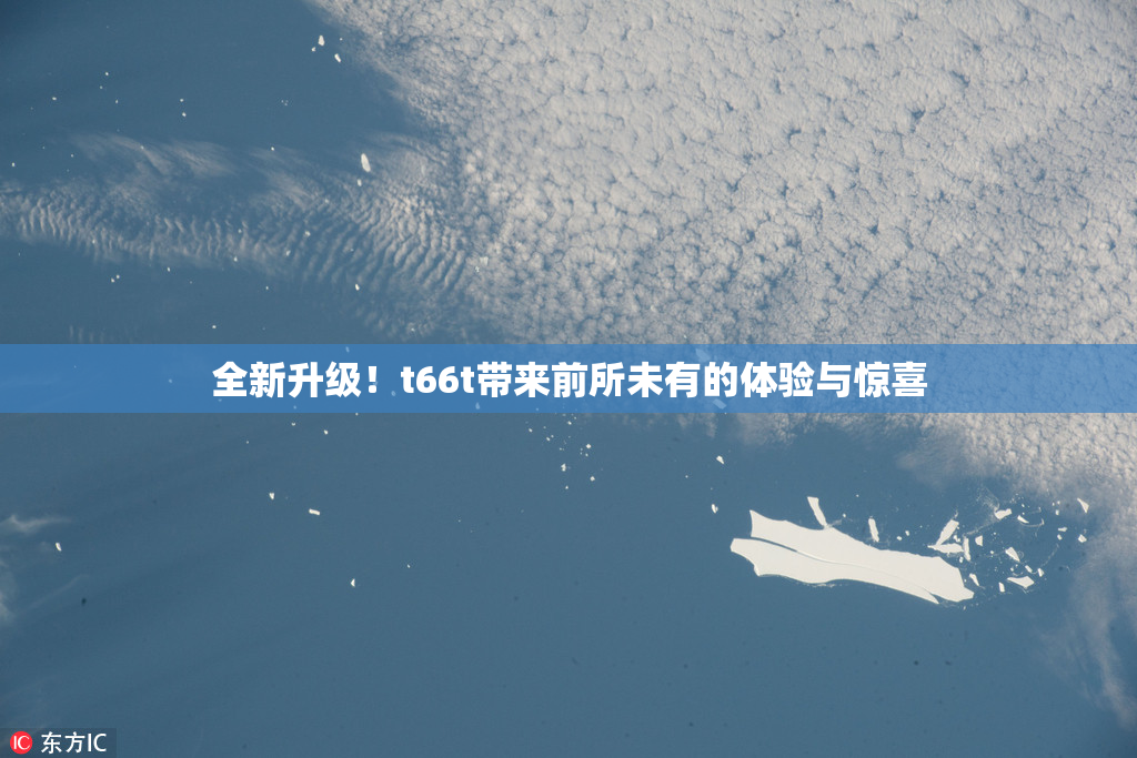 全新升级！t66t带来前所未有的体验与惊喜