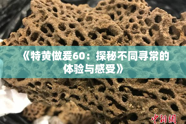《特黄做爰60：探秘不同寻常的体验与感受》
