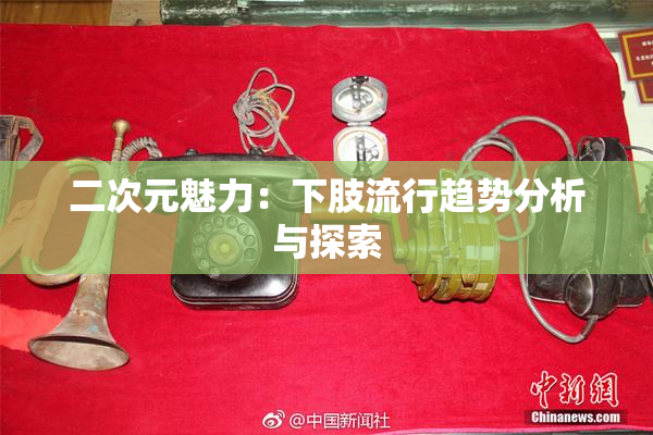 二次元魅力：下肢流行趋势分析与探索