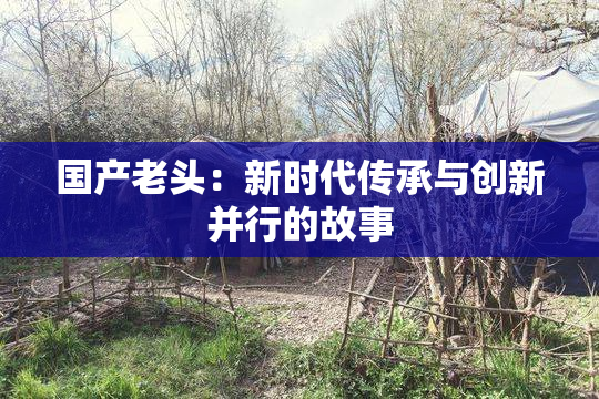 国产老头：新时代传承与创新并行的故事