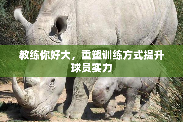 教练你好大，重塑训练方式提升球员实力