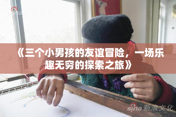 《三个小男孩的友谊冒险，一场乐趣无穷的探索之旅》