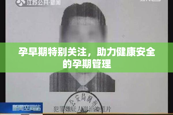 孕早期特别关注，助力健康安全的孕期管理