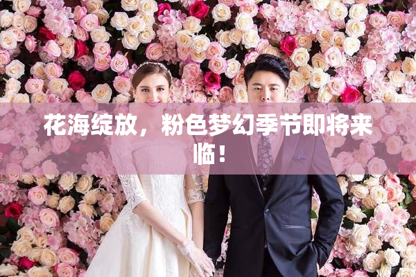 花海绽放，粉色梦幻季节即将来临！