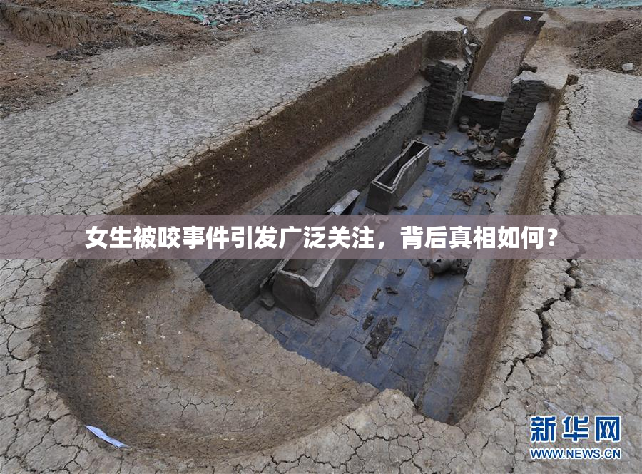 女生被咬事件引发广泛关注，背后真相如何？