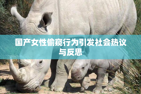 国产女性偷窥行为引发社会热议与反思