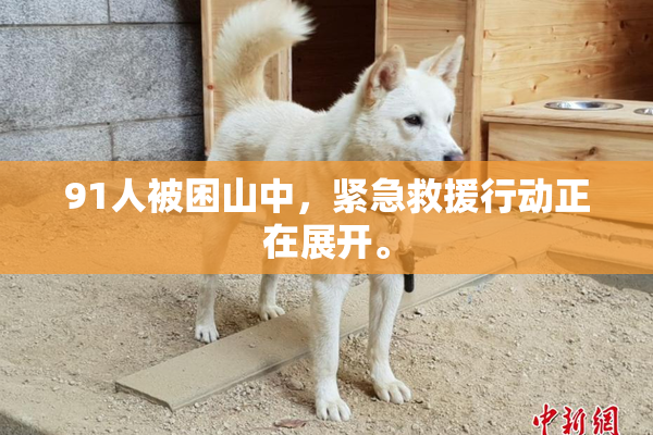 91人被困山中，紧急救援行动正在展开。