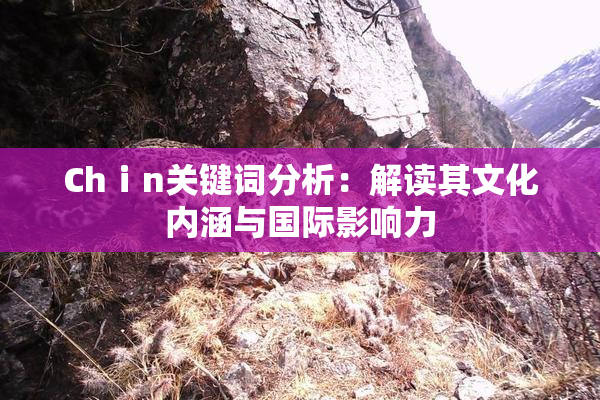 Chⅰn关键词分析：解读其文化内涵与国际影响力