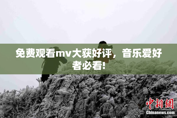 免费观看mv大获好评，音乐爱好者必看!