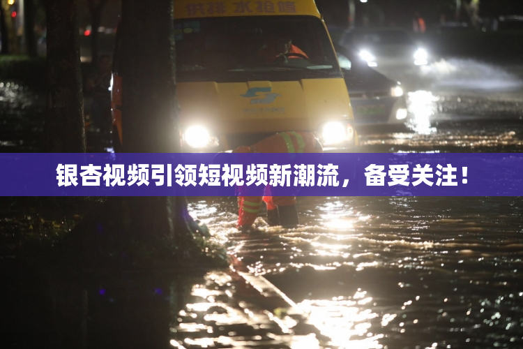 银杏视频引领短视频新潮流，备受关注！