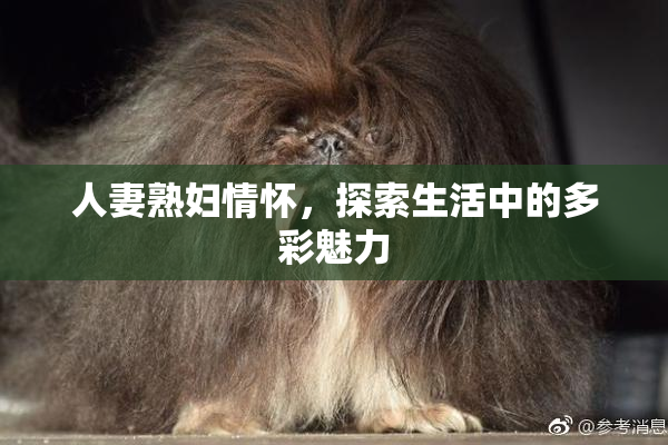 人妻熟妇情怀，探索生活中的多彩魅力