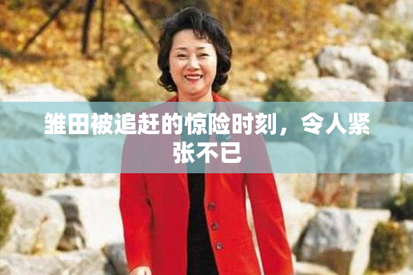 雏田被追赶的惊险时刻，令人紧张不已