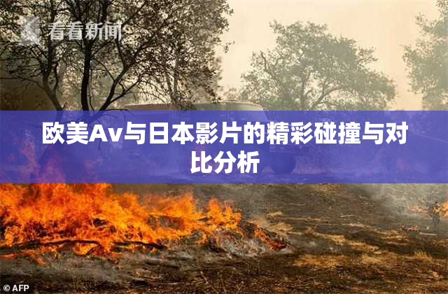 欧美Av与日本影片的精彩碰撞与对比分析