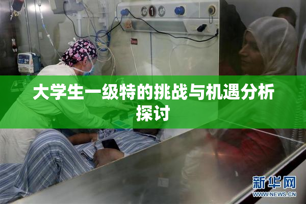 大学生一级特的挑战与机遇分析探讨