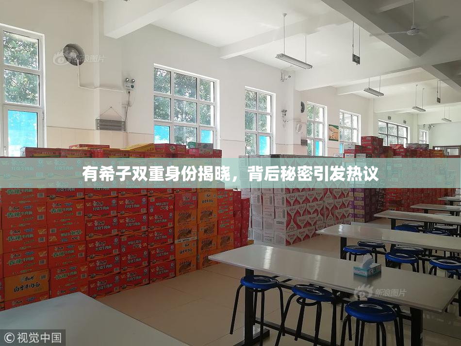 有希子双重身份揭晓，背后秘密引发热议