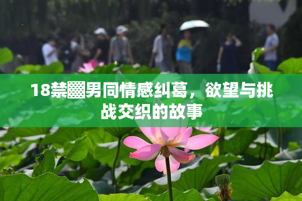 18禁▓男同情感纠葛，欲望与挑战交织的故事
