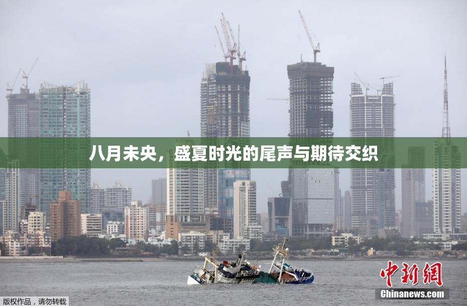 八月未央，盛夏时光的尾声与期待交织