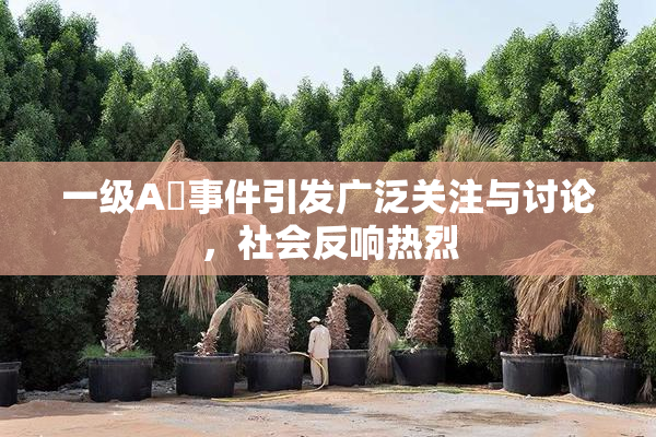 一级A婬事件引发广泛关注与讨论，社会反响热烈
