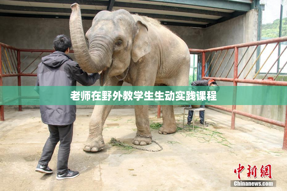 老师在野外教学生生动实践课程
