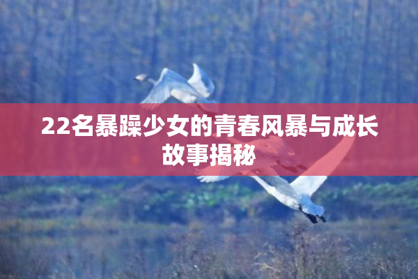 22名暴躁少女的青春风暴与成长故事揭秘
