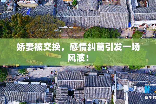娇妻被交换，感情纠葛引发一场风波！