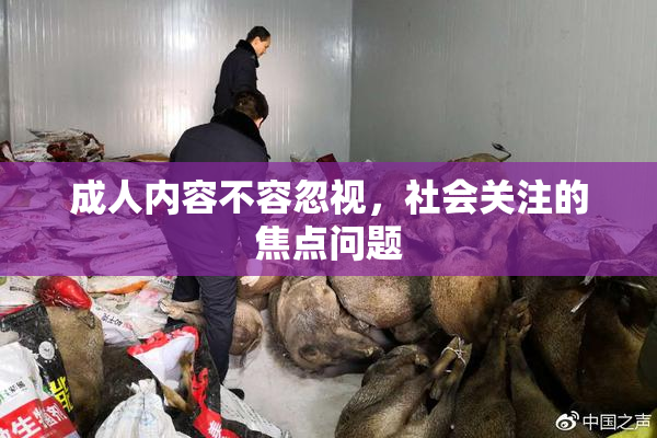 成人内容不容忽视，社会关注的焦点问题