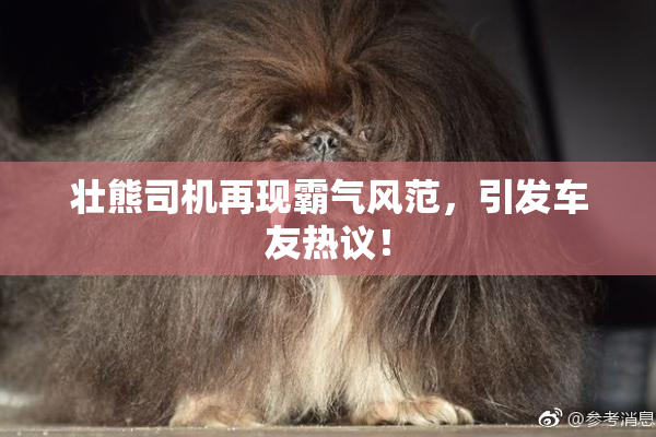 壮熊司机再现霸气风范，引发车友热议！